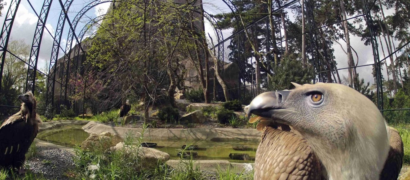 Το μυστήριο ζώο που εκτίθεται στον ζωολογικό κήπο του Παρισιού - Δεν έχει στόμα και μάτια